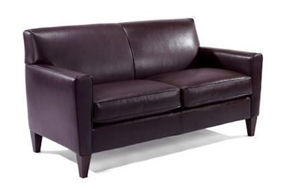 Digby Two-Cushion Leather Sofa (3966-30)